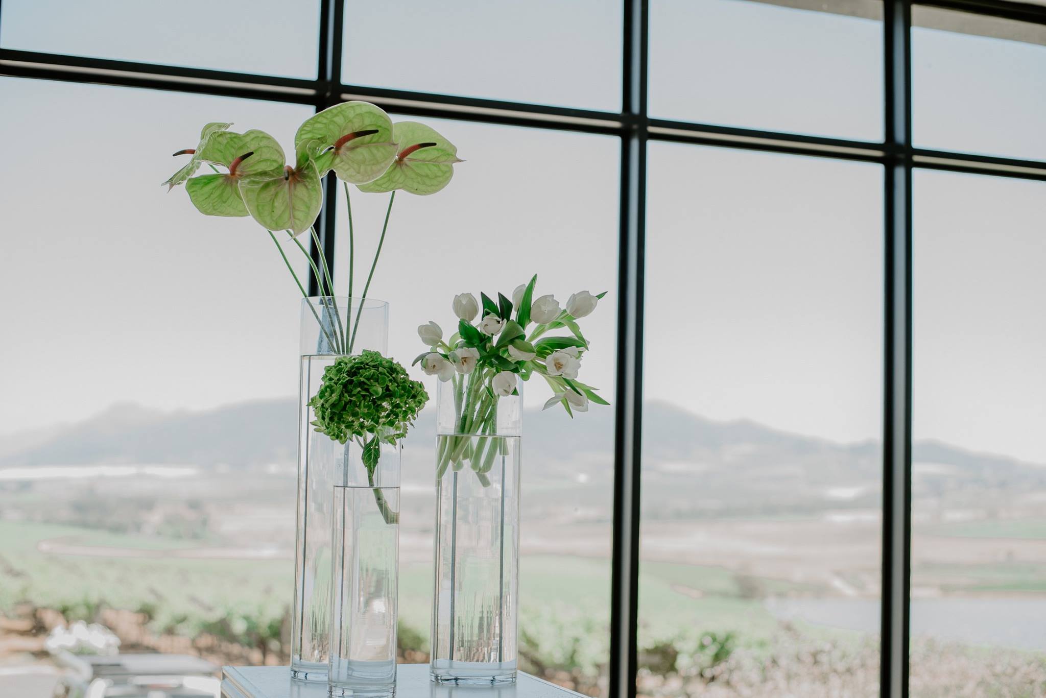 Joli Wedding